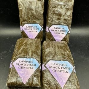 black farm hashish