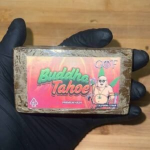 Buddha Tahoe Hashish