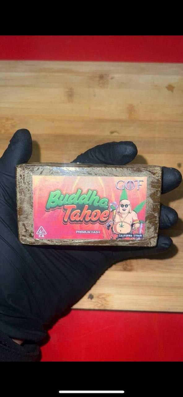 Buddha Tahoe Hashish
